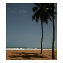 "Beach View" Poster posters