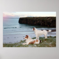 beach view with two dogs poster