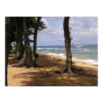Beach, Wailua, Kauai posters by 8t8vette Beach, Wailua, Kauai posters