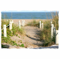 Beach walk dune roped off Florida Beach Color Acrylic Cut Outs