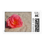 Beach Wedding Postage Stamp:  Rose on Sand