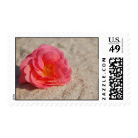 Beach Wedding Postage Stamp:  Rose on Sand