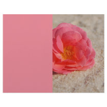 Beach Wedding Program Cover Only:  Rose on Sand Letterhead Design