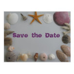Beach Wedding/Save the Date Post Card