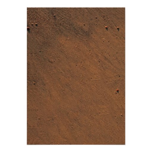 beach wedding starfish invitations