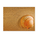 Beach Wedding Tropical RSVP Invitation