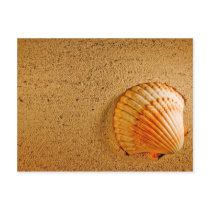 Beach Wedding Tropical RSVP Invitation postcards