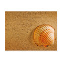 Beach Wedding Tropical RSVP Invitation postcards