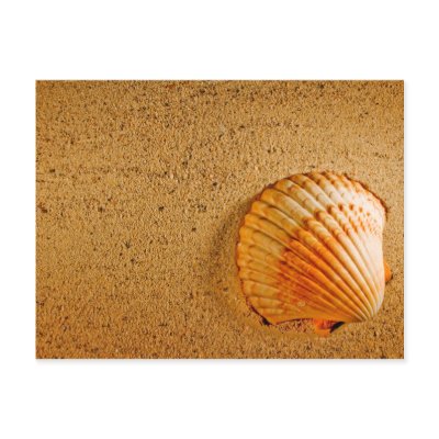 Beach Wedding Tropical RSVP Invitation post card