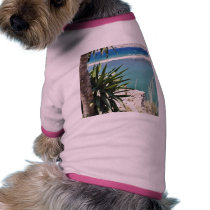 Beach With A Palm Tree In Albania In A Hot Summer pet clothing by lifesphere Beach With A Palm Tree In Albania In A Hot Summer pet clothing
