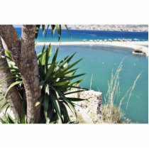 Beach With A Palm Tree In Albania In A Hot Summer photo sculptures by lifesphere Beach With A Palm Tree In Albania In A Hot Summer photo sculptures