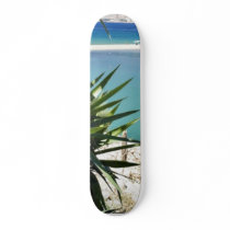 Beach With A Palm Tree In Albania In A Hot Summer skateboards by lifesphere Beach With A Palm Tree In Albania In A Hot Summer skateboards