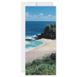 beach_with_trees rack cards