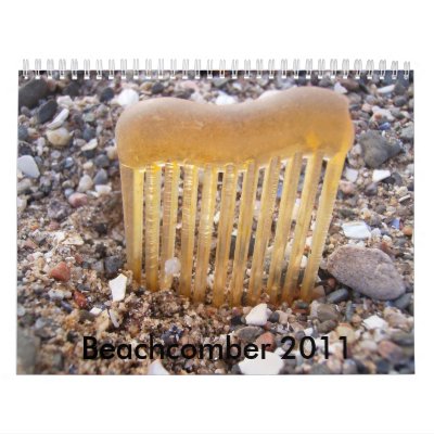 Beachcomber 2011 wall calendars by whatisfoundthere