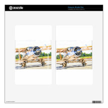 Beachcraft Staggerwing Vintage aircraft Decal For Kindle Fire