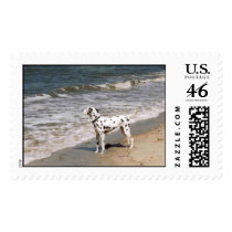 Beachdog postage