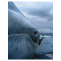 Beached Blue letterhead