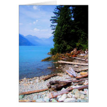 Beached Logs Card