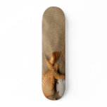 'BEACHED' (NATURAL) skateboard