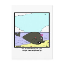 Beached postcards