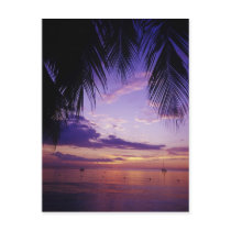 Beaches at Negril, Jamaica 2 Post Card