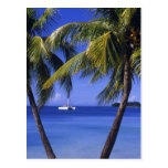 Beaches at Negril, Jamaica Postcard