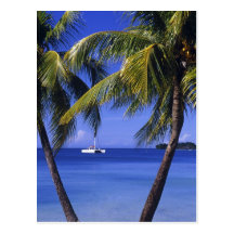 Beaches at Negril, Jamaica Postcard