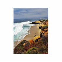 Beaches Ocean Cliffs La Jolla photo sculptures