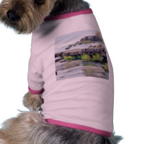 Beaches Ocean Rocks Moss Sand pet clothing