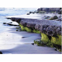 Beaches Ocean Waves photo sculptures by lifesphere Beaches Ocean Waves photo sculptures