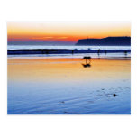 Beaches Point Loma Sunsets Postcards