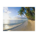 beaches postcards