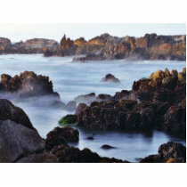 Beaches Surf Waves photo sculptures