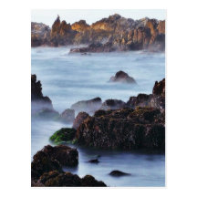 Beaches Surf Waves Post Cards