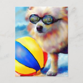 Beachin' (Pomeranian) Postcard postcard
