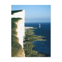 Beachy Head Lighthouse Postcard