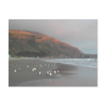 Beachy postcard
