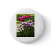 Beacon Hill Park 4 buttons