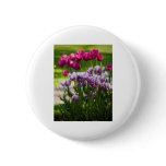 Beacon Hill Park 4 Buttons