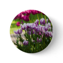 Beacon Hill Park 4 buttons
