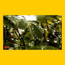 ~BEADS OF TRANQUILITY~  Poster posters