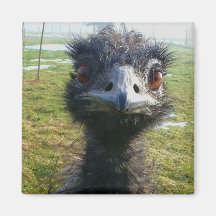 Beady Eyes EMU Fridge Magnets