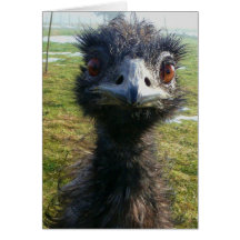 Beady Eyes EMU Greeting Card
