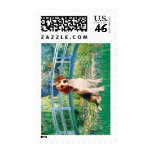 Beagle1 - Bridge Stamps