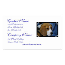 beagle-31.jpg business cards