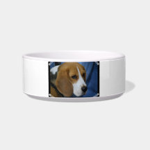 beagle-31.jpg pet food bowls