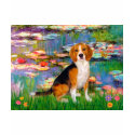 Beagle 7 - Lilies 2 t-shirts