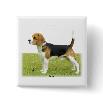 Beagle 9J27D-02 buttons by TraffordPhotos Beagle 9J27D-02 buttons