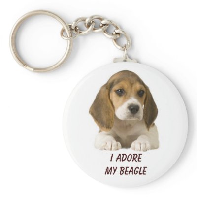 Beagle Adore Keychain by normagolden