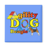 Beagle Agility Gifts Magnet